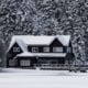 Home with a snowy roof in a dense forest area
