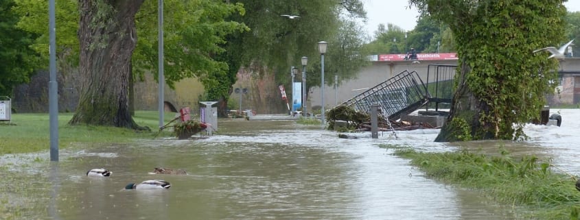 Flooded park and business area